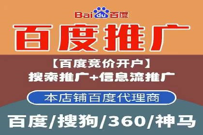 百度SEO推广成功案例：品牌知名度提升
